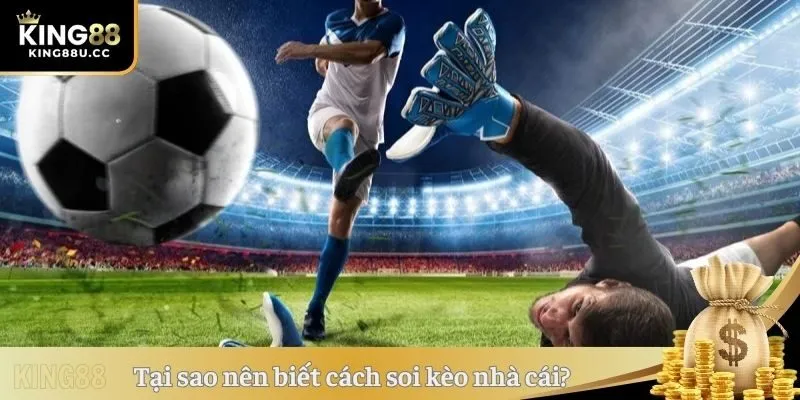 Tại sao nên biết cách soi kèo nhà cái? 